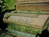image of grave number 337513